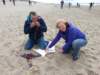 HWK Texel 054_small.jpg
